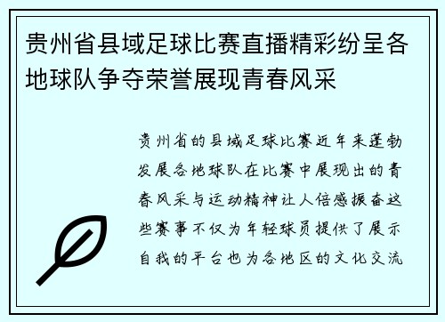 贵州省县域足球比赛直播精彩纷呈各地球队争夺荣誉展现青春风采